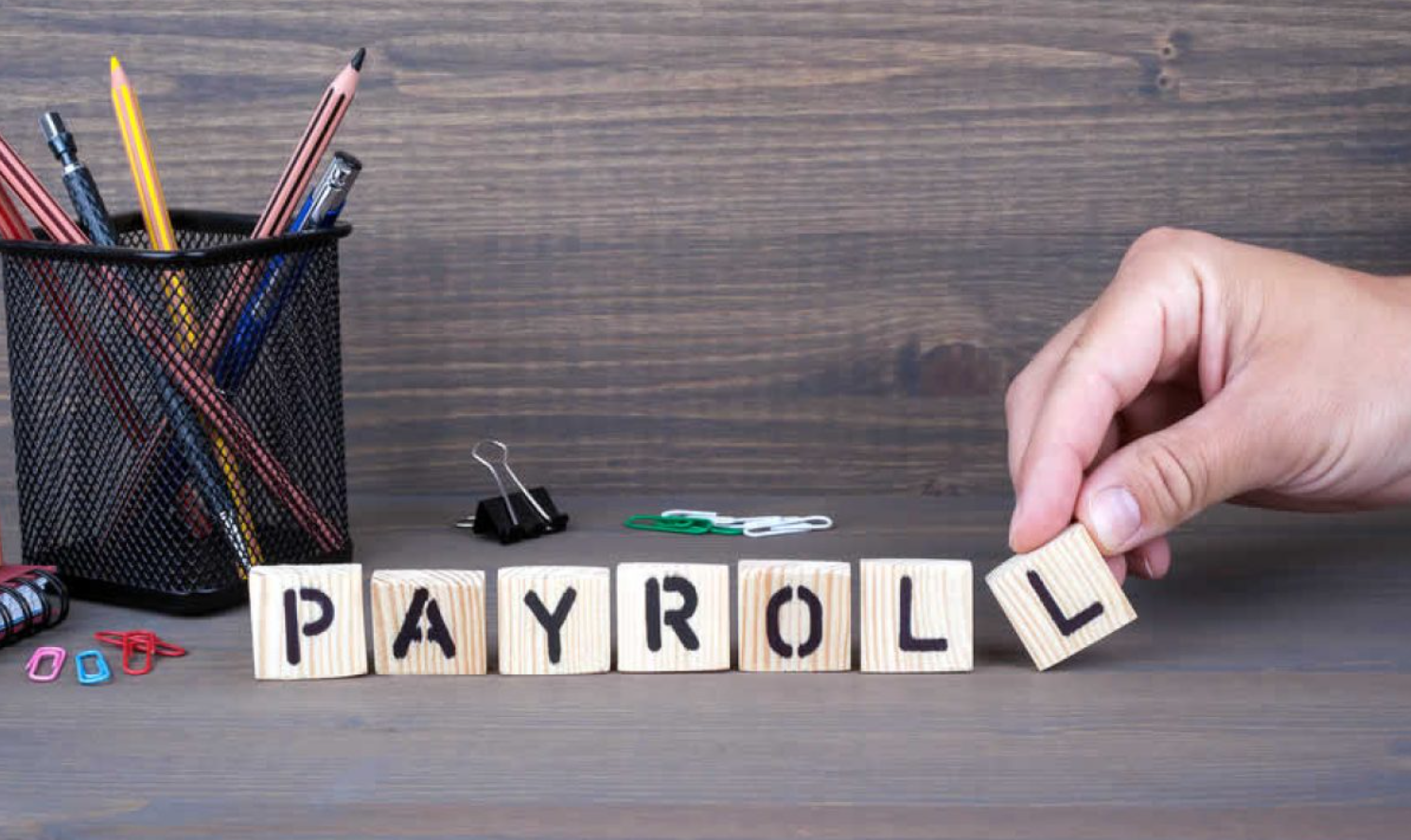 Professional Payroll Services Halifax For All Kinds Of Business